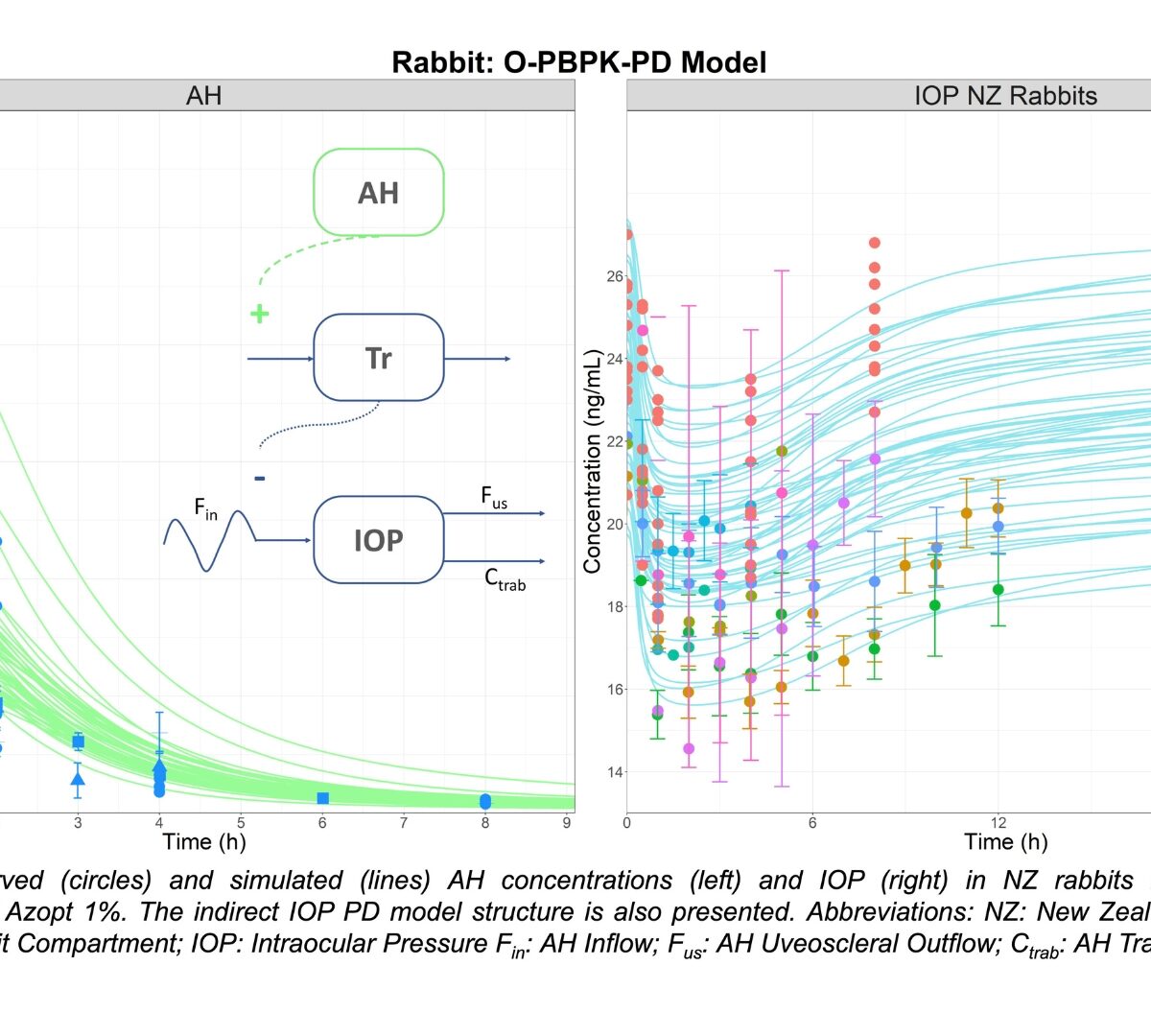Predicting Brinzolamide Ocular Response in Humans Using an Ocular PBPK-PD Modeling and Simulation