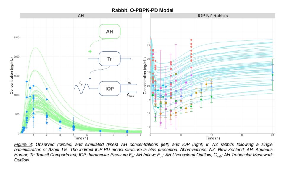 Predicting Brinzolamide Ocular Response in Humans Using an Ocular PBPK-PD Modeling and Simulation