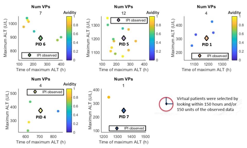 Simulated CD8+ T Cell-Mediated Liver Injury During Ipilimumab Administration in a Simulated Population (SimPops®) Demonstrates Profiles Consistent with Observed Clinical Data