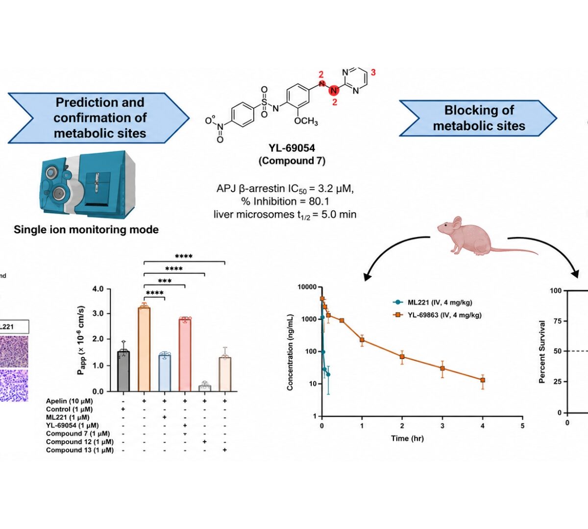 Design, Synthesis, and Pharmacological Evaluation of Metabolically Stable Apelin Receptor Antagonists with Improved In Vivo Exposure and Efficacy in Ovarian Cancer