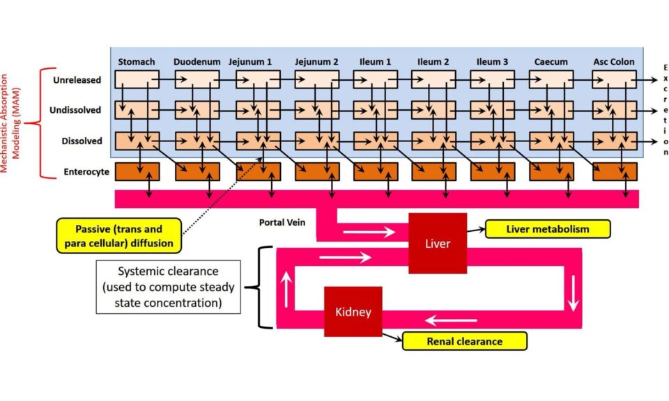 Systematic Evaluation of Underlying Models That Improve Purely In-Silico High-Throughput Mechanistic Pbpk Predictions Across Species