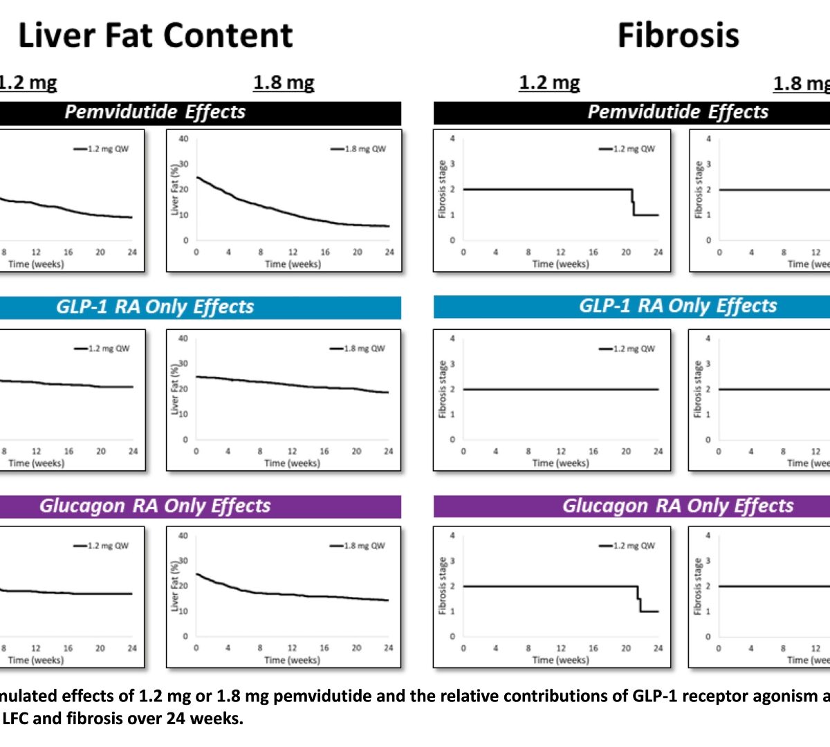 Pemvidutide, a Glucagon-like Peptide 1/Glucagon Dual Receptor Agonist, Improves Metabolic Dysfunction-associated Steatohepatitis Activity and Fibrosis in a Clinical Quantitative Systems Pharmacology Model