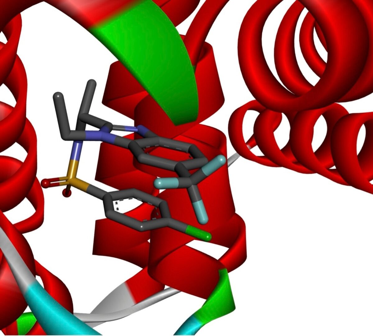 Multicriteria Decision Aiding in the service of Drug Discovery