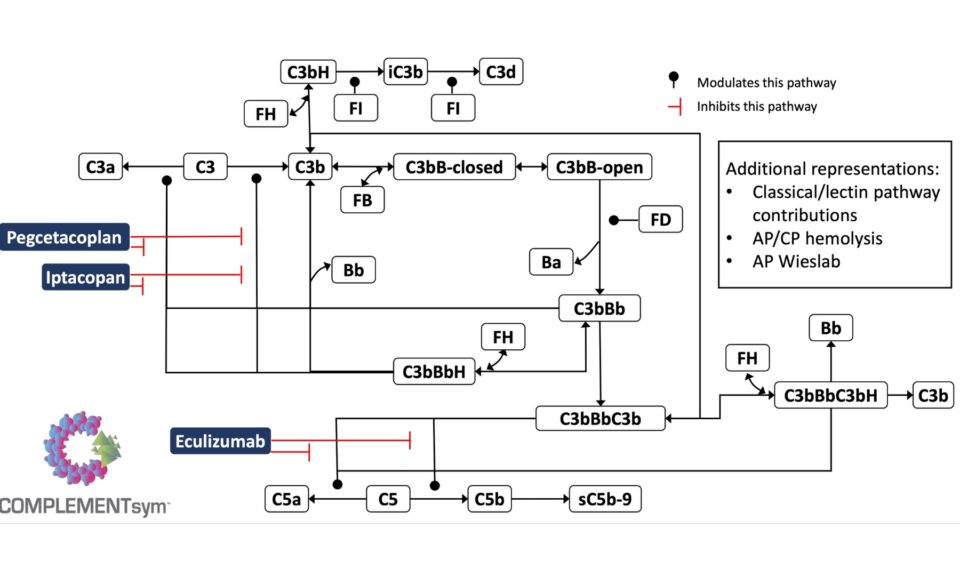 A Biomarker-Focused QSP Model of Complement Alternative and Terminal Pathways to Evaluate Potential Targets for Therapeutic Impact in Complement-Associated Diseases: Paroxysmal Nocturnal Hemoglobinuria (PNH) as a Case Study