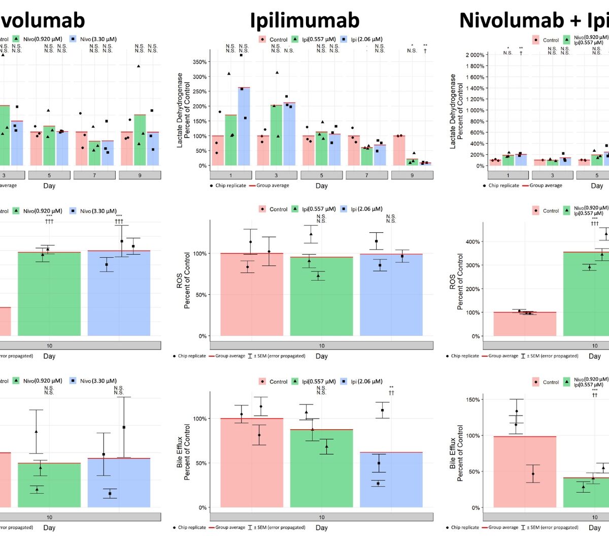 Evaluating Immune Checkpoint Inhibitors for Liver Toxicity in a Biomimetic Liver Microphysiology Model