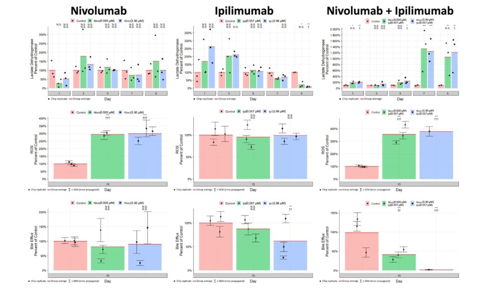 Evaluating Immune Checkpoint Inhibitors for Liver Toxicity in a Biomimetic Liver Microphysiology Model