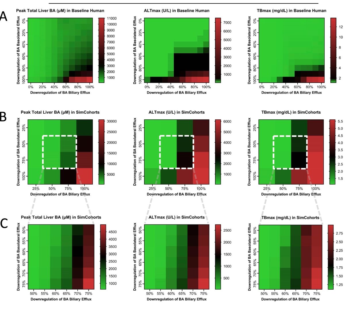 Quantitative Systems Toxicology (QST) Modeling Using a New Virtual Population in BIOLOGXsym Offers Mechanistic Insights Into Bile Acid-mediated Biologics-induced Liver Injury (BILI) Upon Cimaglermin Alfa (GGF2) Administration