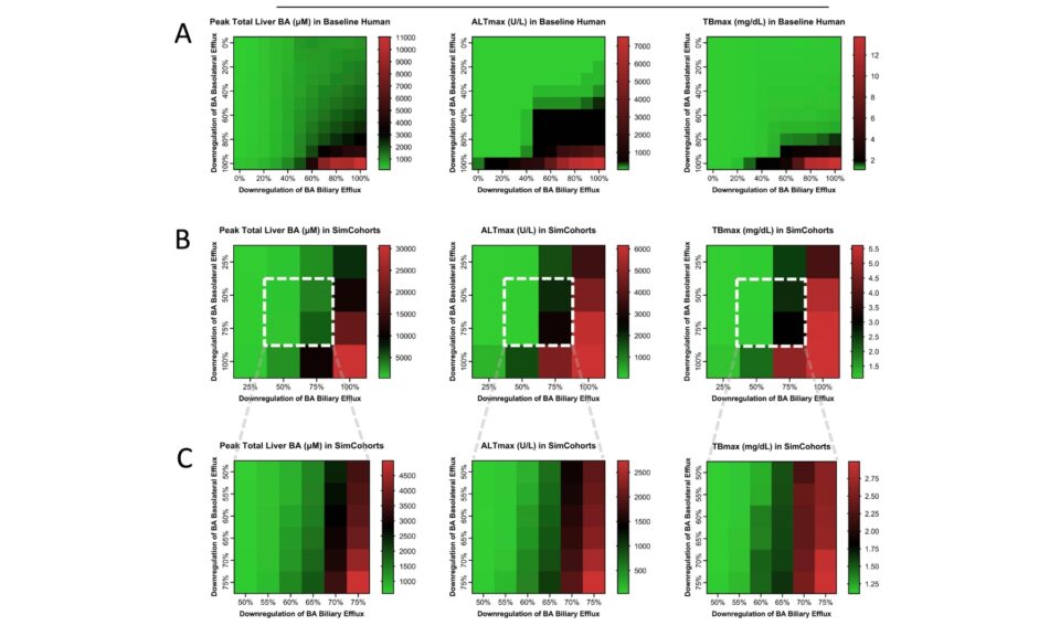 Quantitative Systems Toxicology (QST) Modeling Using a New Virtual Population in BIOLOGXsym Offers Mechanistic Insights Into Bile Acid-mediated Biologics-induced Liver Injury (BILI) Upon Cimaglermin Alfa (GGF2) Administration