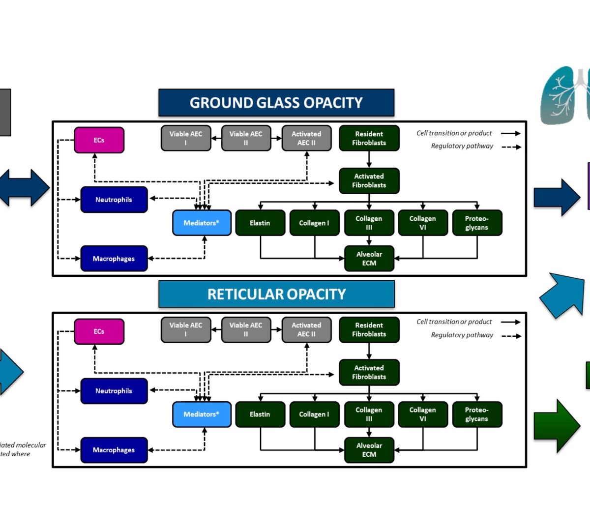 ILDSYM®, A Quantitative Systems Pharmacology (QSP) Platform, Successfully Simulates Efficacy of Key Treatments for Systemic Sclerosis-Interstitial Lung Disease