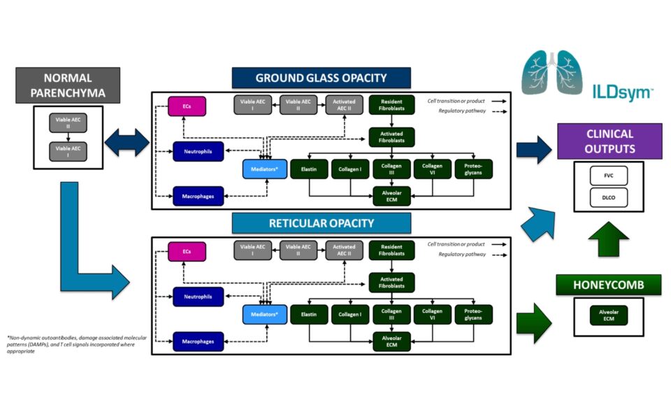 ILDSYM®, A Quantitative Systems Pharmacology (QSP) Platform, Successfully Simulates Efficacy of Key Treatments for Systemic Sclerosis-Interstitial Lung Disease
