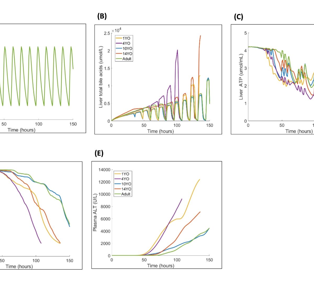 The QST Modeling Approach Leveraging Known Physiology and Available Clinical Data Paves the Path Towards Predictions of DILI in Pediatrics