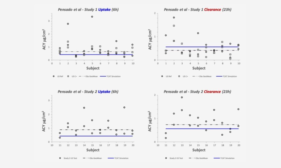 Development of an in silico Model of Topical Acyclovir to Explore Formulation Design
