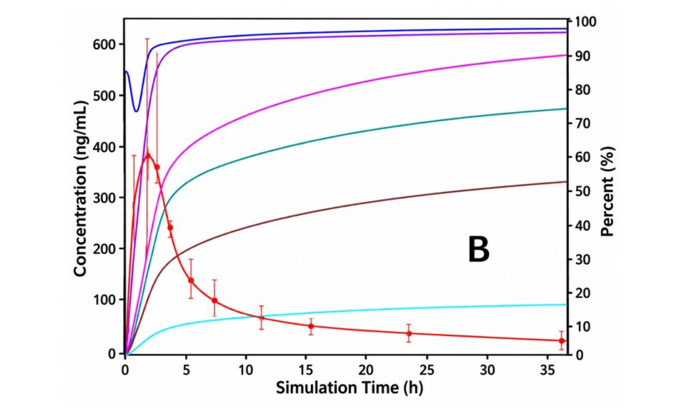 Physiologically-Based Pharmacokinetic Modelling of Rivoceranib Parent and Metabolite to Project DDI Risk and Support Regulatory Decision-Making