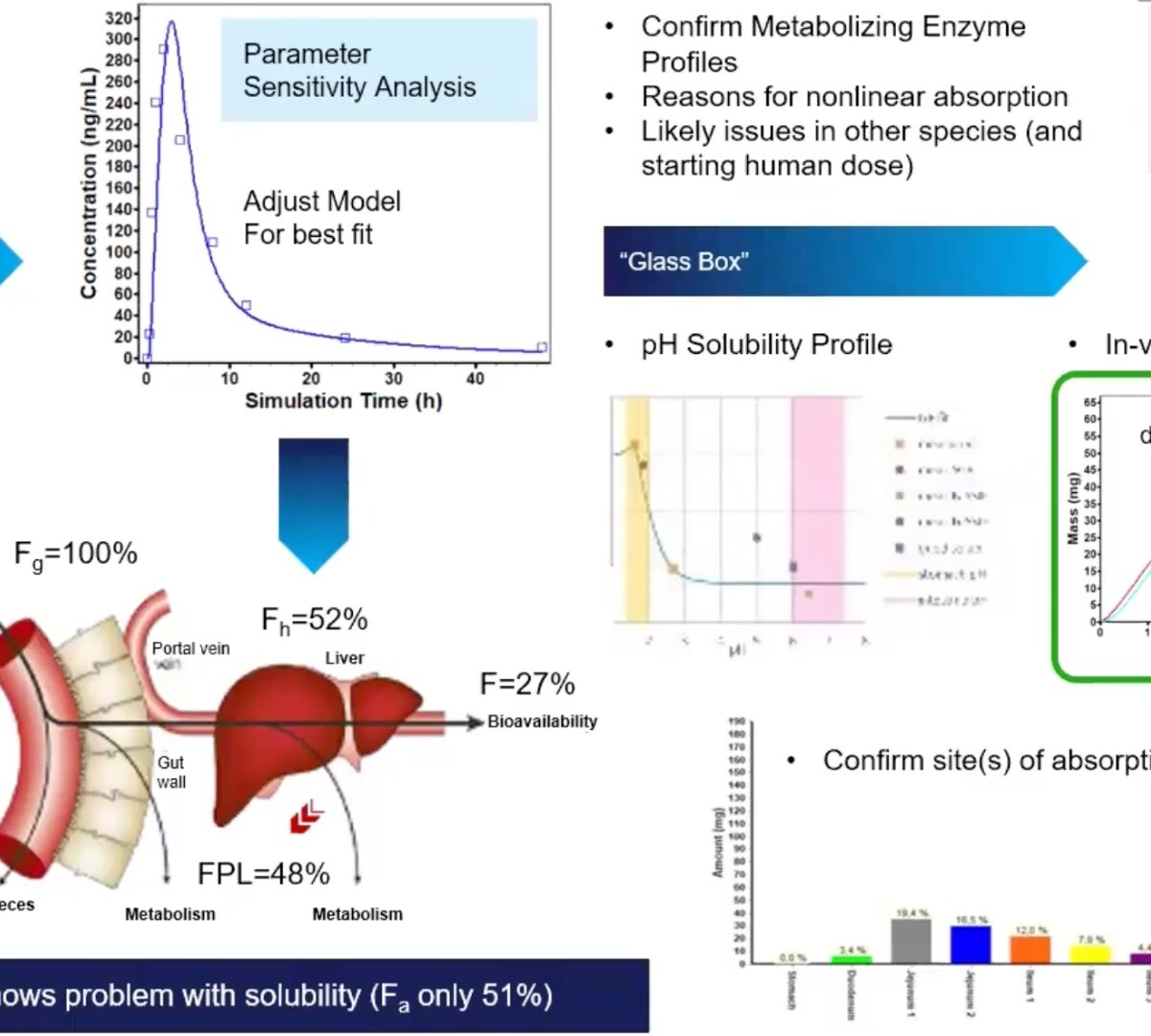 Integrating PBPK Modeling and Developability Assessment to Guide Early Phase Formulation Strategy