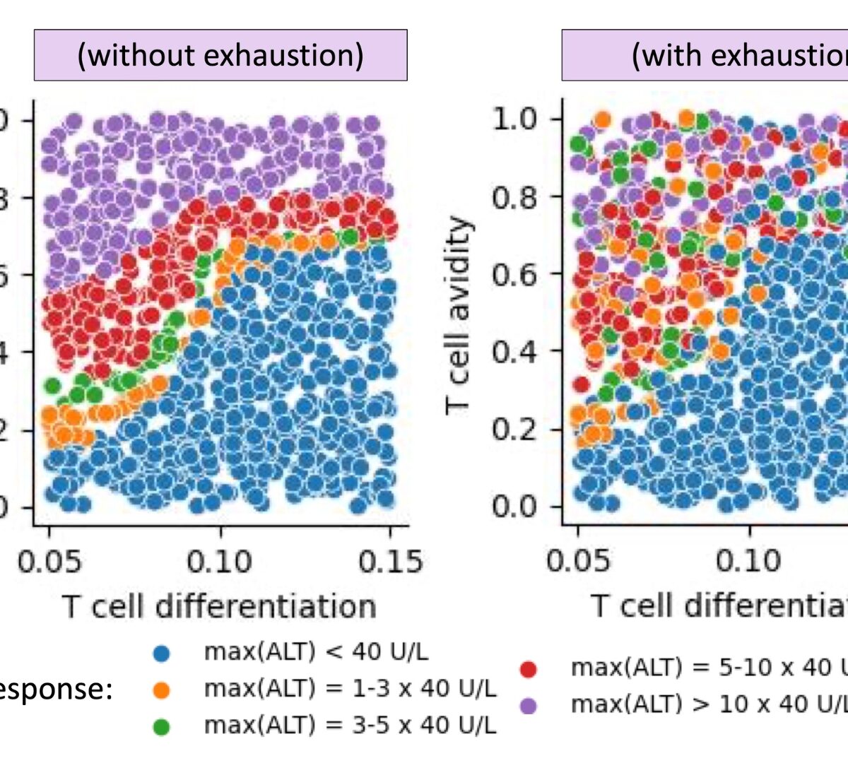 Proof-of-concept that Variable Onset and Severity of T cell-mediated Drug-Induced Liver Injury is Reproduced in a Simulated Human Population