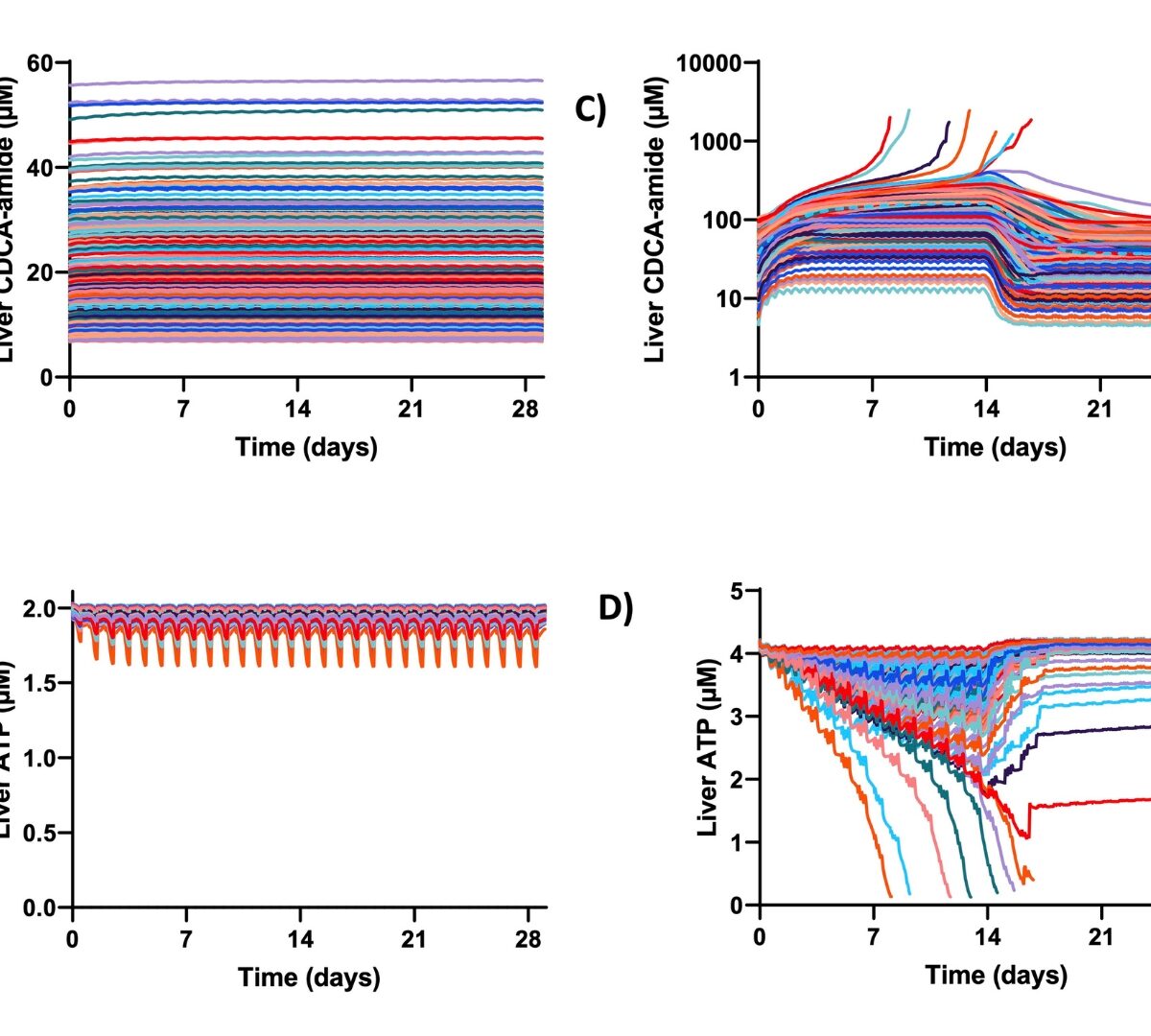 Synergy Between Two Mechanisms of Action Contributes to Species Differences in the Liver Safety Profile for PF-04895162