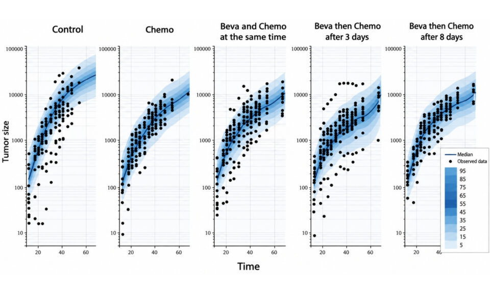 A library of Tumor Growth and Tumor Growth Inhibition Models for the MonolixSuite