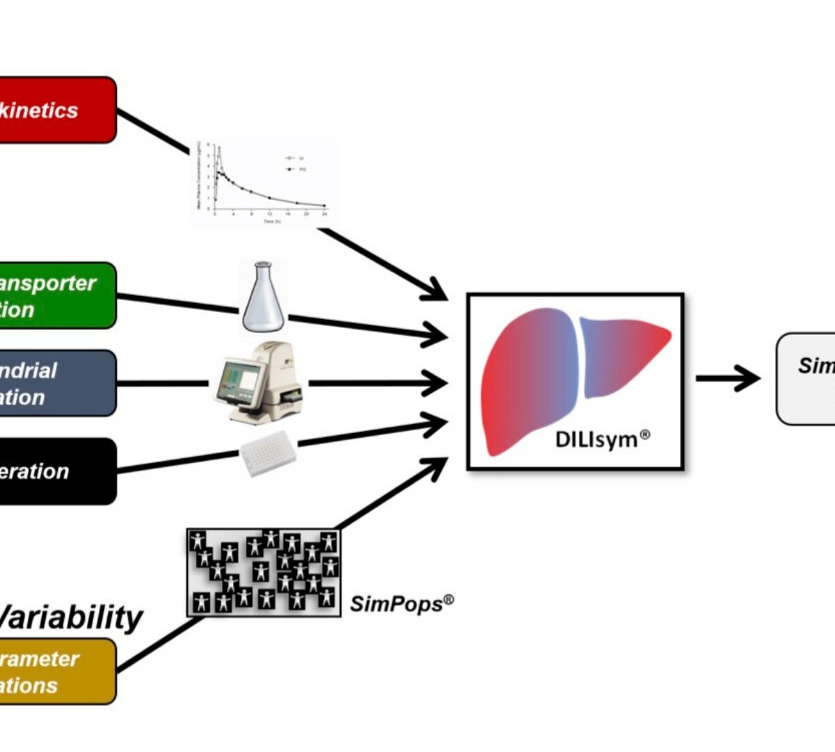 Assessment of the Mechanism for Remdesivir-Associated Clinical ALT Elevations Using DILIsym Quantitative Systems Toxicology Modeling