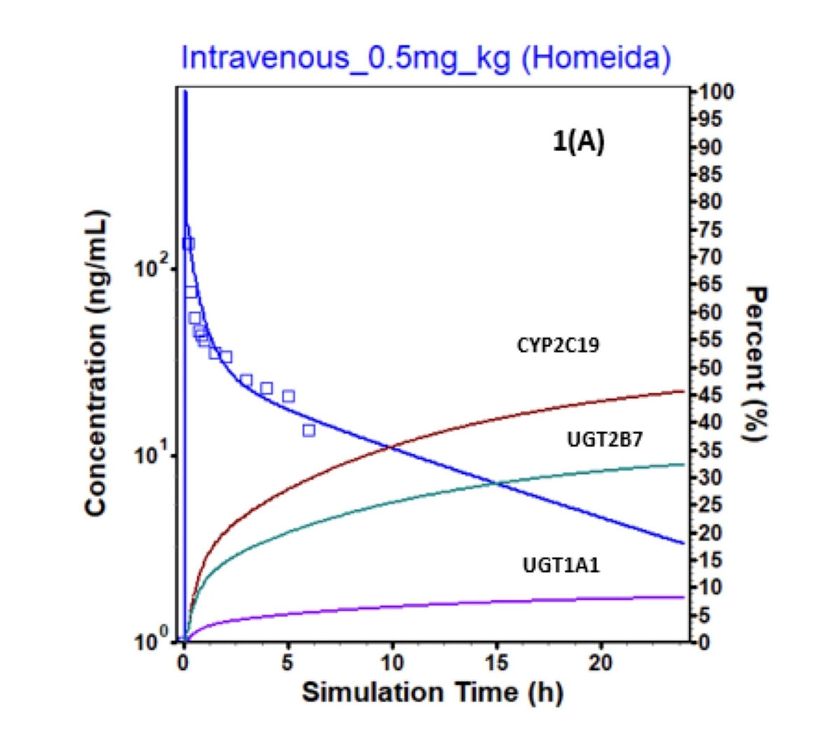Gender Related Differences and Pregnancy Induced Changes in Labetalol Glucuronidation Assessed via PBPK Modeling and Simulation