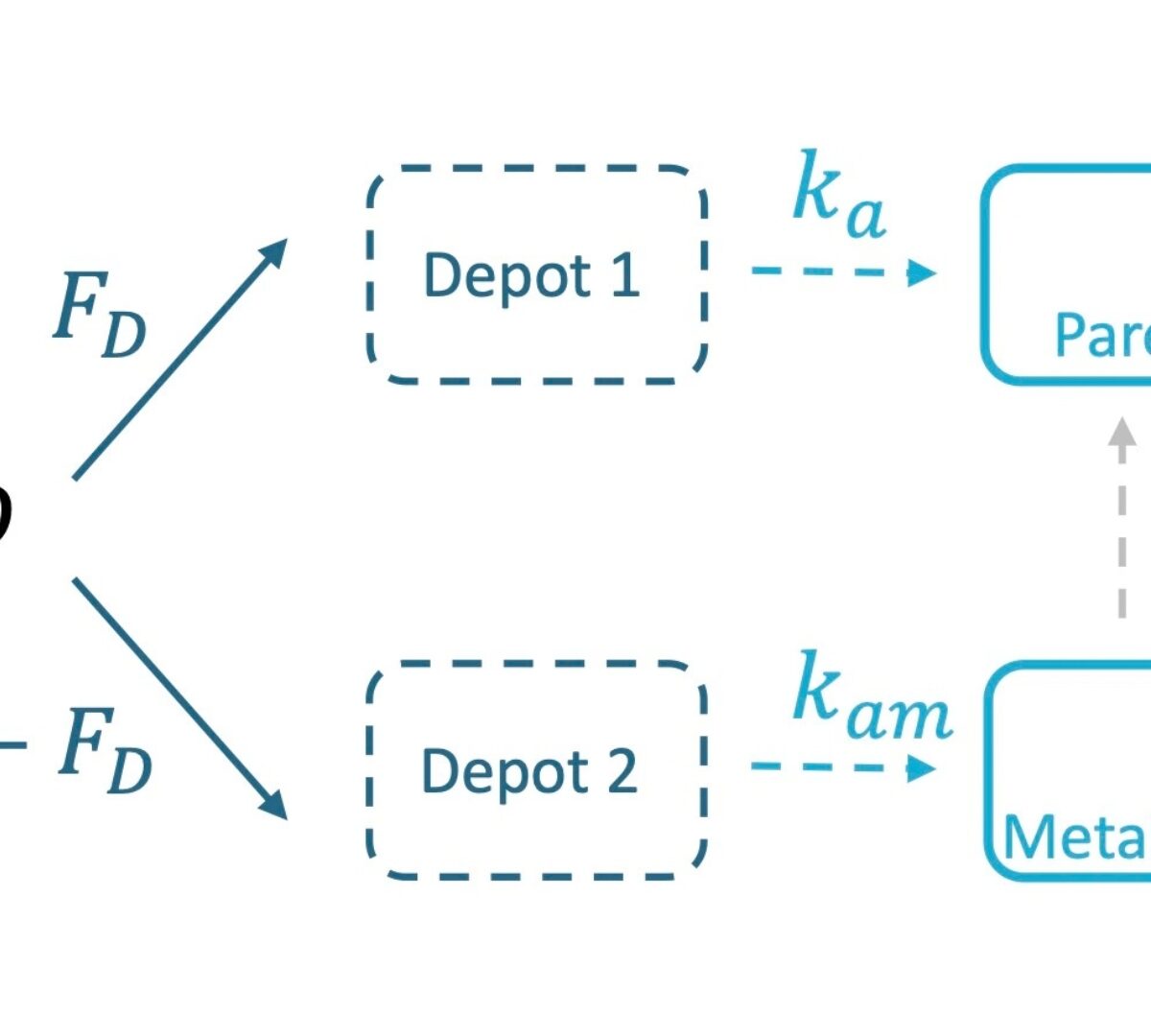 A Library of Parent–Metabolite Models for the MonolixSuite