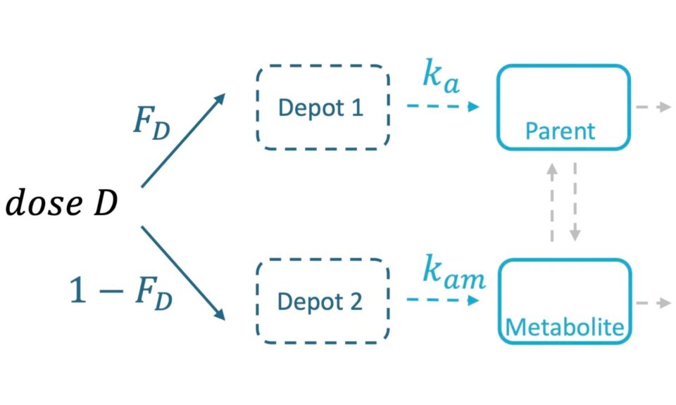 A Library of Parent–Metabolite Models for the MonolixSuite