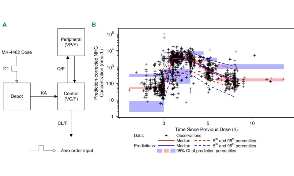 Population Pharmacokinetics Analysis for Molnupiravir in Adults with COVID-19