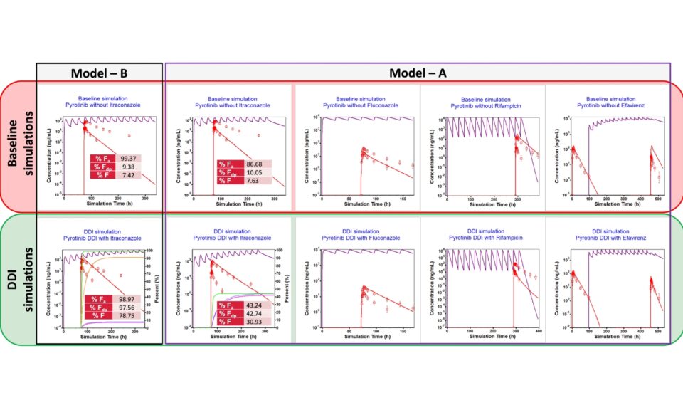Physiologically Based Pharmacokinetic (PBPK) Modeling of Pyrotinib to Understand the Impact of Interplay Between CYP3A4 and P-GP on its DDIs with CYP3A4 Inhibitors/Inducers