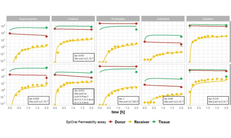 Mechanistic Model of in vitro Intraoral Absorption of Buprenorphine for the Buccal and Gingival Mucosa