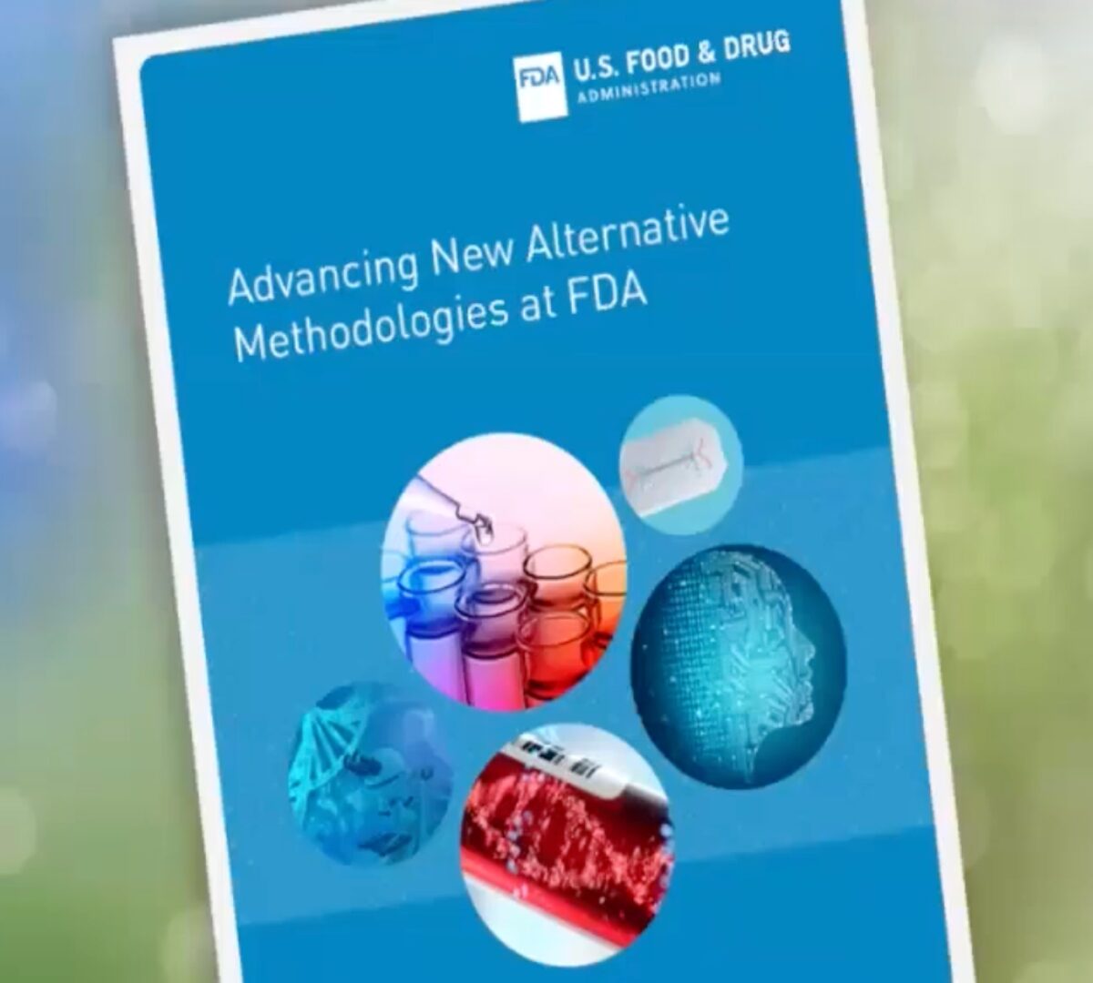 Beyond the Lab: FDA’s Vision for Modeling a Future Without Animal Testing