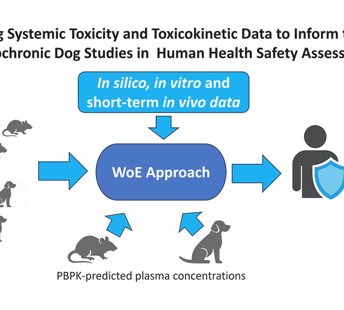 Integrating Systemic Toxicity and Toxicokinetic Data to Inform the Need for Subchronic Dog Studies in Human Health Safety Assessments of Agrochemicals
