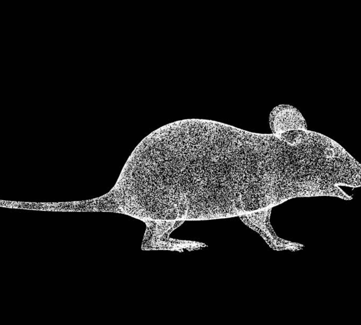 Simulations Plus Supports New FDA Roadmap for Reducing Animal Testing in Preclinical Safety Studies