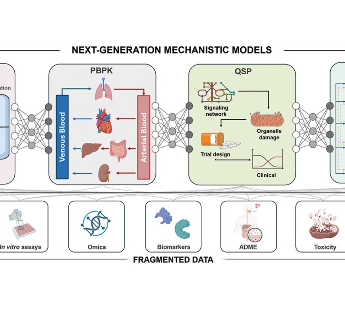 Why Next-Generation Mechanistic Models will Transform Drug Discovery: Integrating Efficacy and Safety