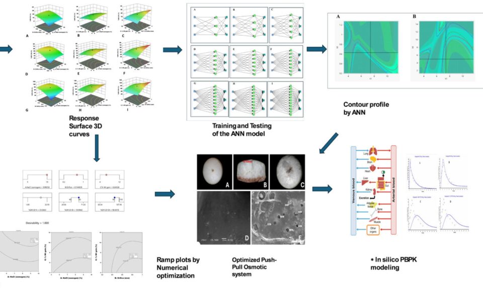 A Multivariate Ann-CCD Integrative Model Using Cellulose Based Polymers for the Development of Osmotically Controlled Push-Pull Dexibuprofen Tablets and Its Predictive Pharmacokinetic Modeling
