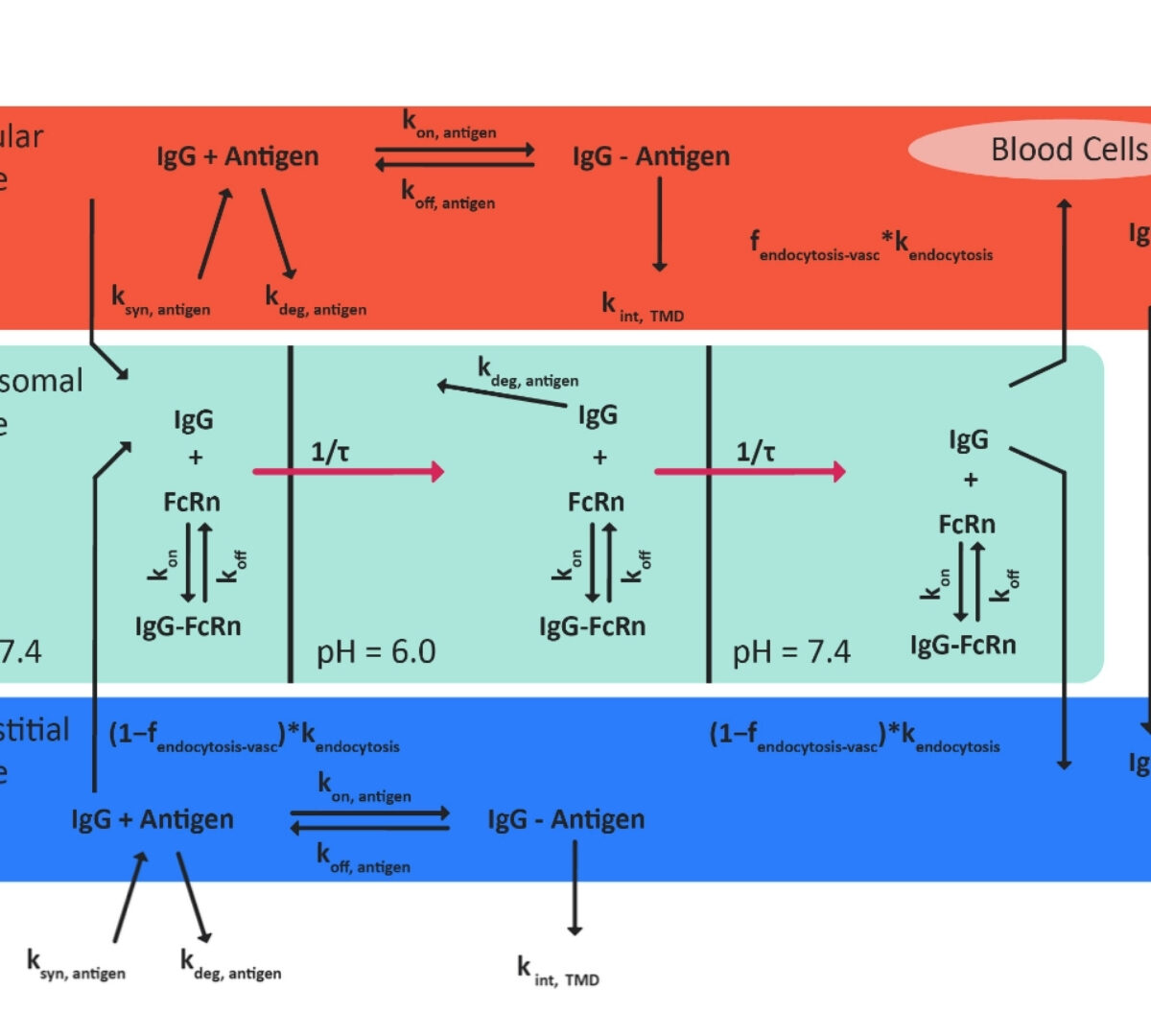 Physiologically Based Pharmacokinetic Models for Infliximab, Ipilimumab, and Nivolumab Developed with GastroPlus to Predict Hepatic Concentrations