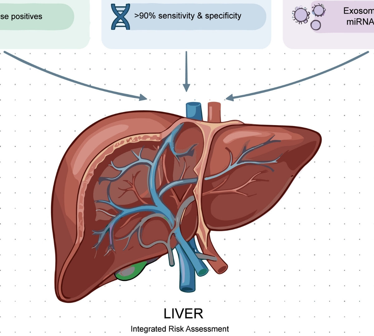 Exploring Avenues of Predicting Drug-Induced Liver Injury