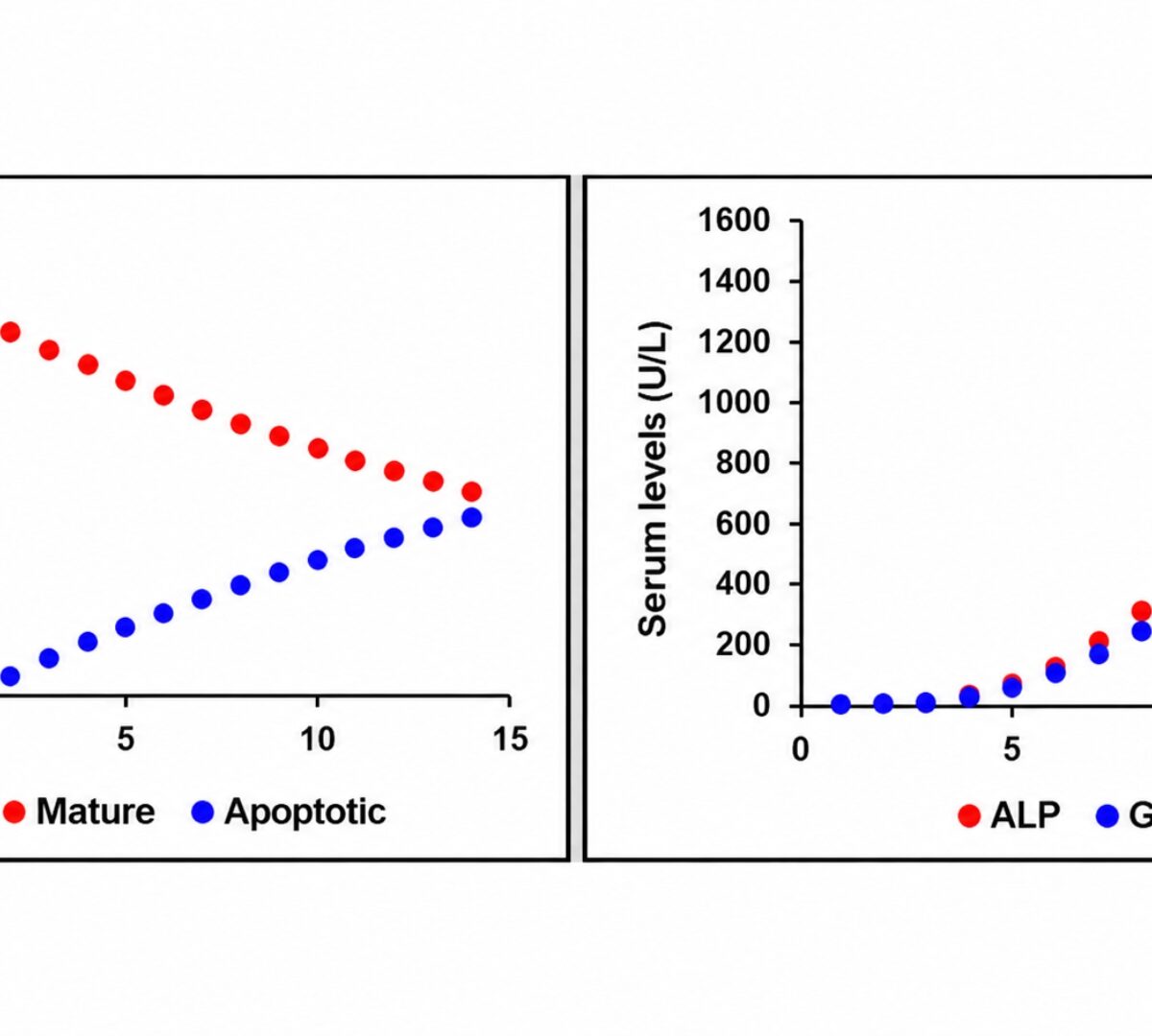 Development of a Quantitative Systems Toxicology Model of Drug-Induced Cholangiocyte Injury in DILIsym