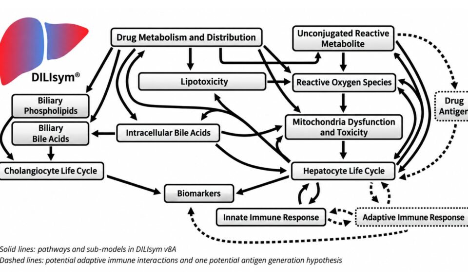 Investigating the Potential Hepatotoxicity of ORM-48824 in a Quantitative Systems Toxicology Platform for Liver Safety, DILIsym®