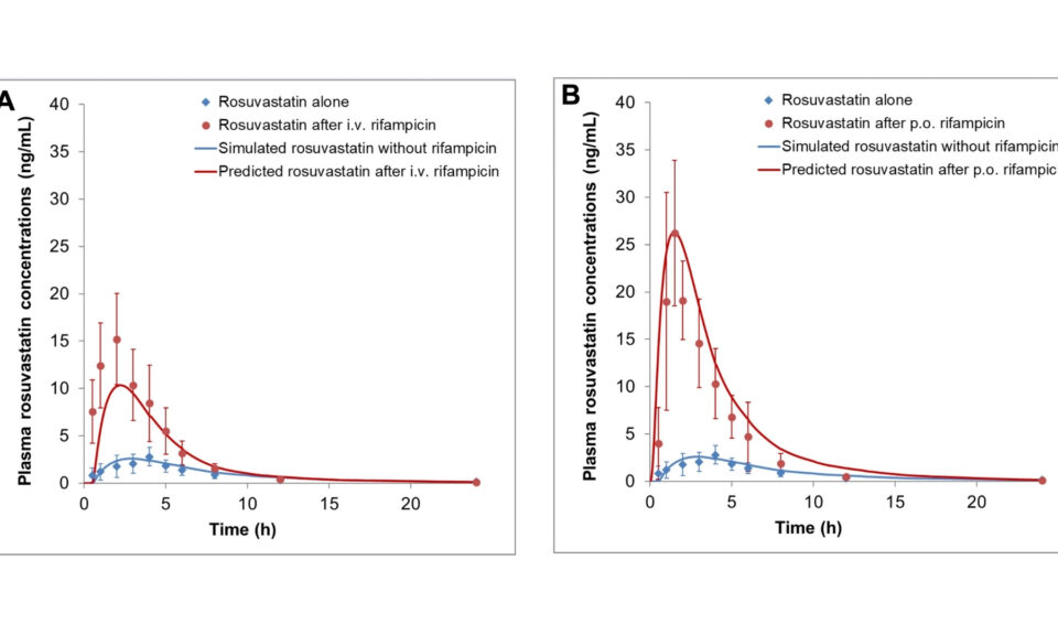 Physiologically Based Pharmacokinetic Modeling of Rosuvastatin and Prediction of Transporter-Mediated Drug-Drug Interactions Involving Rifampicin
