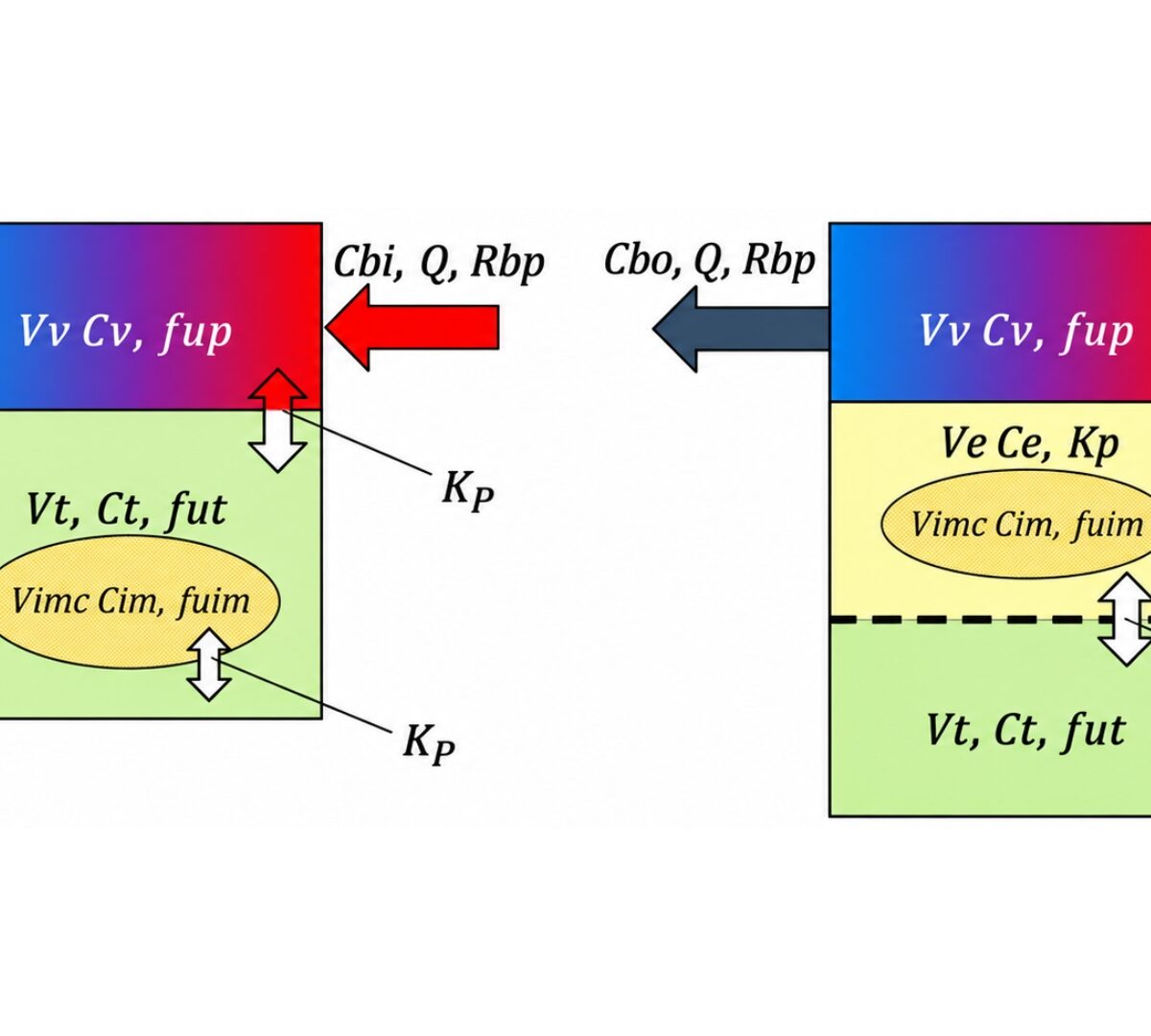 Modeling and Simulation of the Local Tissue Response to the Long-acting Injectable Formulations