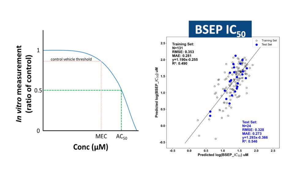 Integrated QSAR-ML and QST Modeling for Early Mechanistic Prediction of Clinical Hepatotoxicity Across Multiple Drug Classes