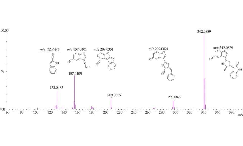 Evaluation of Violacein Metabolic Stability and Metabolite Identification in Human, Mouse, and Rat Liver Microsomes
