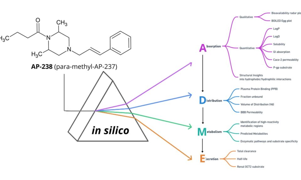ADME profile of AP-238 – opioid designer drug (CAS: 140924-11-4): first application of multi-in silico approach methodology for comprehensive prediction of ADME profile (absorption, distribution, metabolism and excretion) important for clinical toxicology and forensic purposes