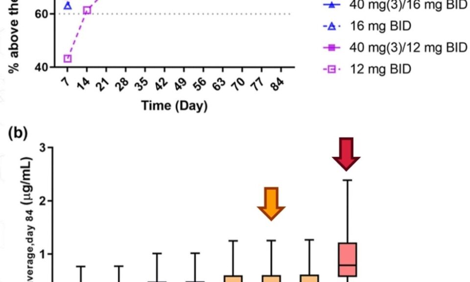 Hitting the Sweet Spot: Mechanism-Based Modeling to Evaluate the Interplay of Liver Compound Exposure and Liver Toxicity to Identify Safe Dosing Regimens