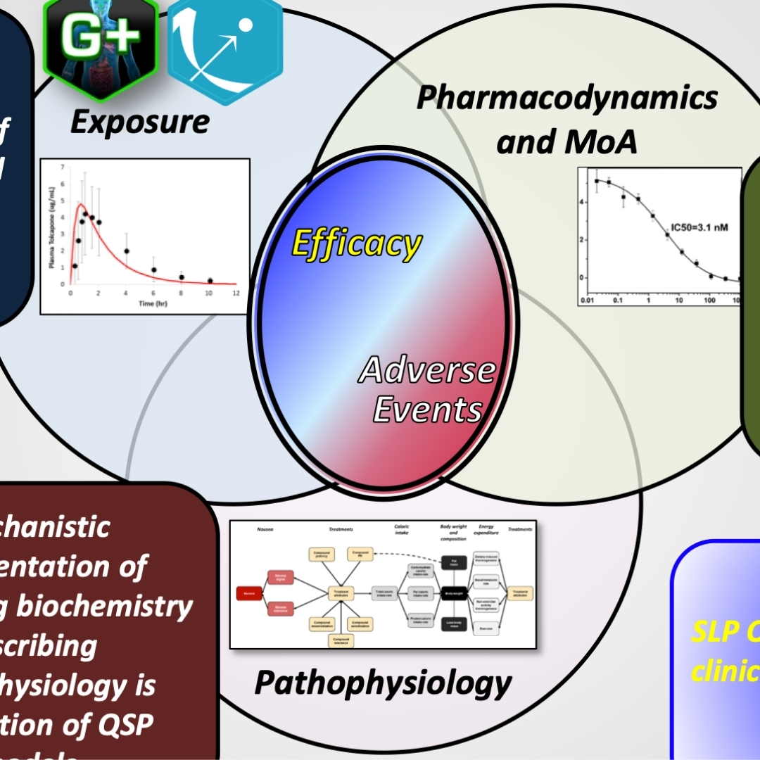 Thales: A unified framework for clinical-scale QSP modeling