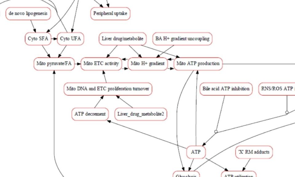 Integrating Human Biomimetic Liver Microphysiology System with Quantitative Systems Toxicology Modeling to Predict DILI