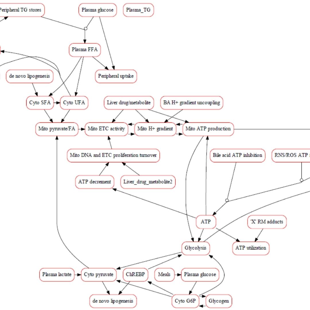 Integrating Human Biomimetic Liver Microphysiology System with Quantitative Systems Toxicology Modeling to Predict DILI