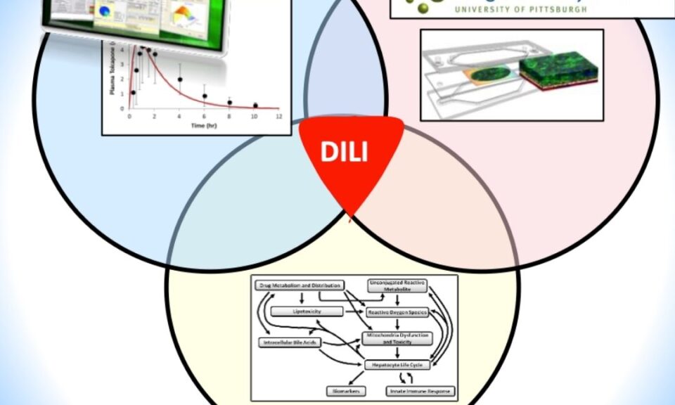 Integrating Human Biomimetic Liver Microphysiology System with Quantitative Systems Toxicology Modeling to Predict DILI