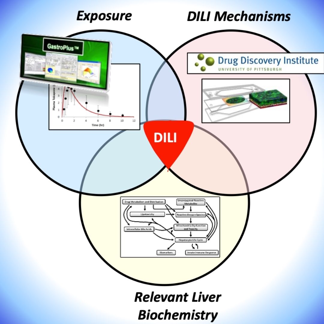 Integrating Human Biomimetic Liver Microphysiology System with Quantitative Systems Toxicology Modeling to Predict DILI