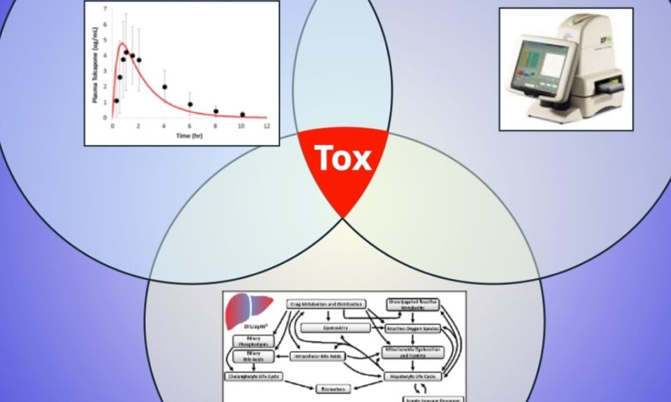 Construction of a Simulated Population of Post-Menopausal Women for the Prediction of Drug-Induced Liver Injury (DILI)