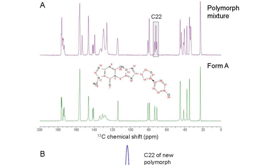 Solid-State Evaluation of a Newly Emerged Polymorph for Early-Stage Pharmaceutical Development